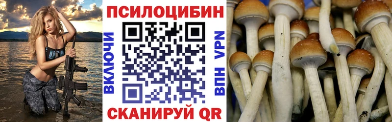 что такое наркотик  Нязепетровск  Галлюциногенные грибы Psilocybine cubensis 